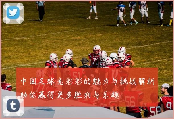 中国足球竞彩彩的魅力与挑战解析助你赢得更多胜利与乐趣